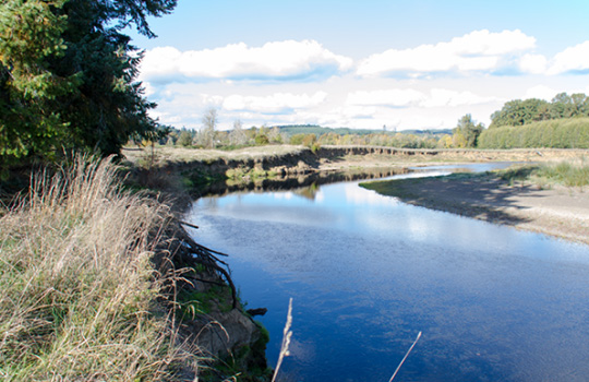 A river flowing through the Chehalis Basin