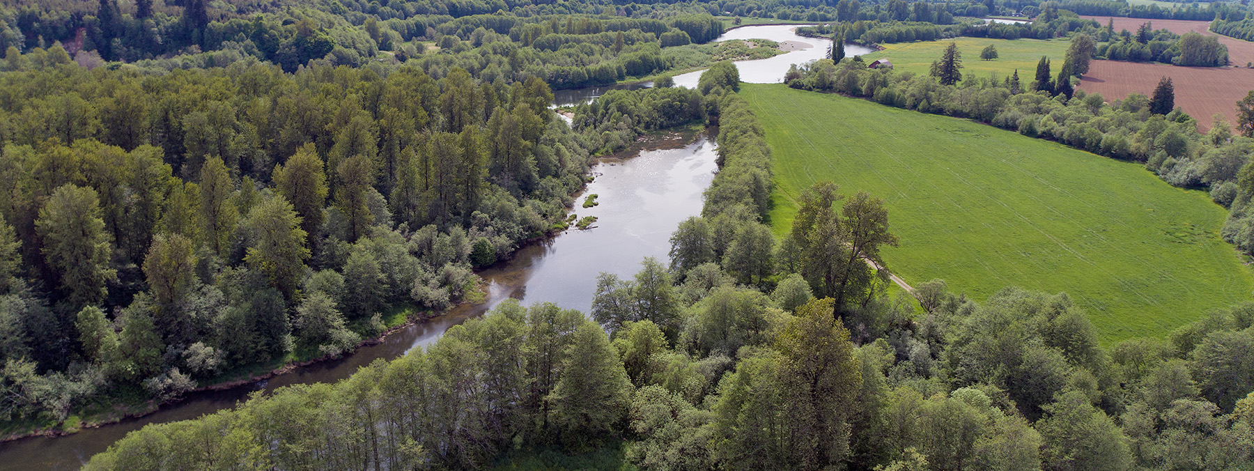 Aerial image of Chehalis River and surrounding fields in summer