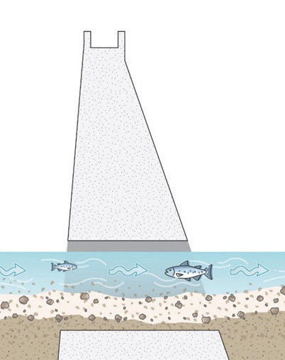Rendering of proposed flow-through dam for flood control